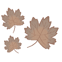 Autumn Hojas Sticker