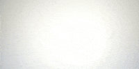 Hot Rod Funny Car GIF by NHRA