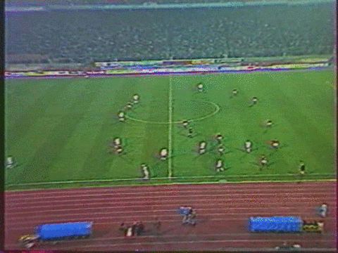 GIF by #FCDK