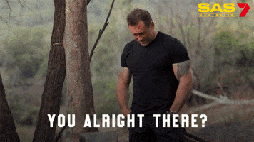 Sas GIF by Channel 7