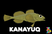 Inuvialuit GIF by Tusaayaksat Magazine