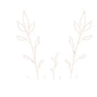 Plants Grow Sticker