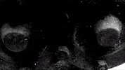 Art Film GIF by jorgemariozuleta