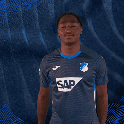 Sport Logo GIF by TSG Hoffenheim