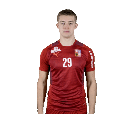 Florbal 2022 Sticker by Český florbal