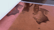contemporary art printmaking GIF by Art21