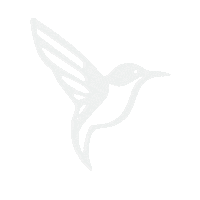 Cantgetenough Sticker by Jennifer Lopez