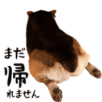 Corgi Milo Sticker
