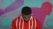 Scf GIF by Bundesliga