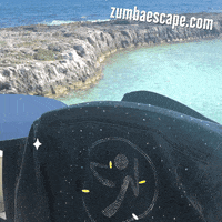 GIF by zumbaescape
