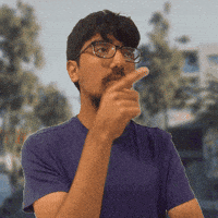 Walnut Raod GIF