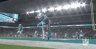 National Football League GIF by NFL