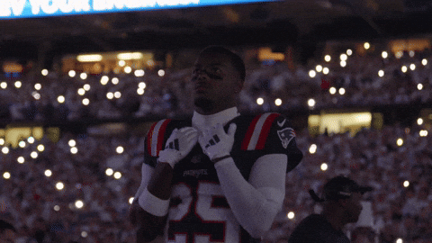 Football Nfl GIF by New England Patriots