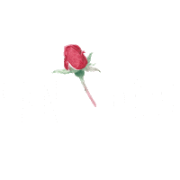Sant Jordi Love Sticker