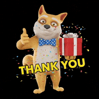 Happy Shiba Inu GIF by Doge Pound
