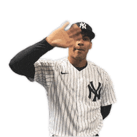 New York Baby Sticker by New York Yankees