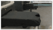 teamphun  GIF