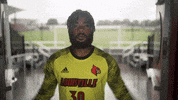University Of Louisville Go Cards GIF by Louisville Cardinals