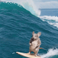 Surfing Sue GIF