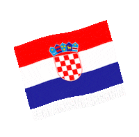Ehfeuro2020 Sticker by EHF