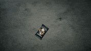 Magic Cat GIF by Magic: The Gathering
