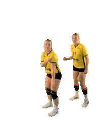 USC_Muenster jump ball volleyball go Sticker