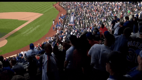 davyandrews giphyupload GIF