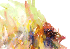 rainbow fish GIF by Will Kim