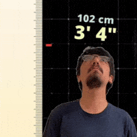 3' 4"