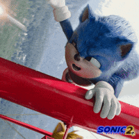 Paramount Pictures Sega GIF by Sonic The Hedgehog