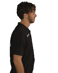 Nicolo Freschi Sticker by lupebasket