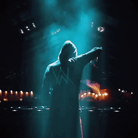 GIF by Alan Walker