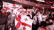 Mixed Martial Arts Sport GIF by UFC