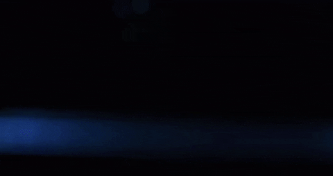 nickolaylamm giphyupload GIF