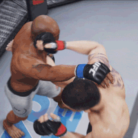 ufc 3 fight GIF by EA SPORTS UFC