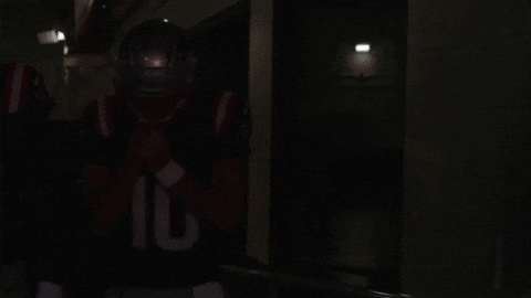 Football Nfl GIF by New England Patriots