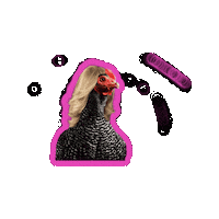 henofthewoodssnacks bird chicken always sunny hen Sticker