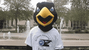 RockU thumbs up rockhurst university rockhurst rock e hawk GIF