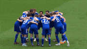 Football Soccer GIF by FC Schalke 04