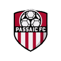 Passaic Sticker by Diaza Football