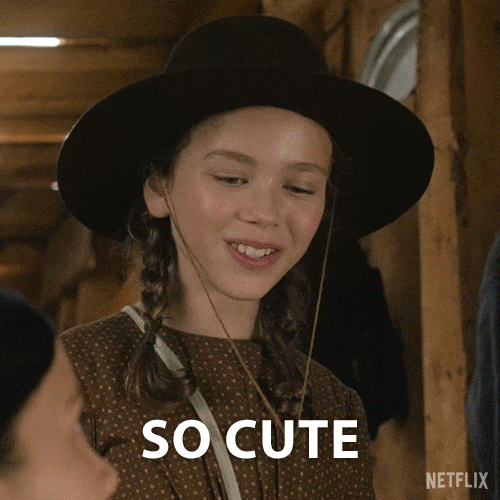 Little House On The Prairie Thats Adorable GIF by NETFLIX