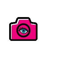 Pinkplus website ecommerce uxdesign agenciadigital Sticker