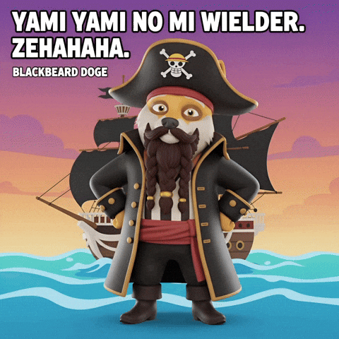 One Piece Pirate GIF by Doge Pound
