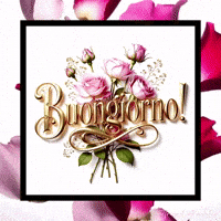 Italian Gentilezza GIF by TresorsDuMonde.ca