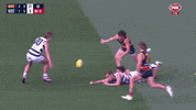 Round 1 Afl GIF by Adelaide Crows