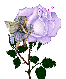 fairies Sticker