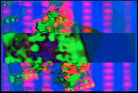 Video Art GIF by cskonopka