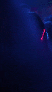 Party Fun GIF by RGB Disco