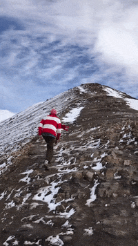CampoAlpaca mountain peru campo alpaca GIF