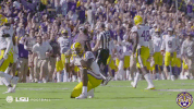 College Sports Sport GIF by LSU Tigers